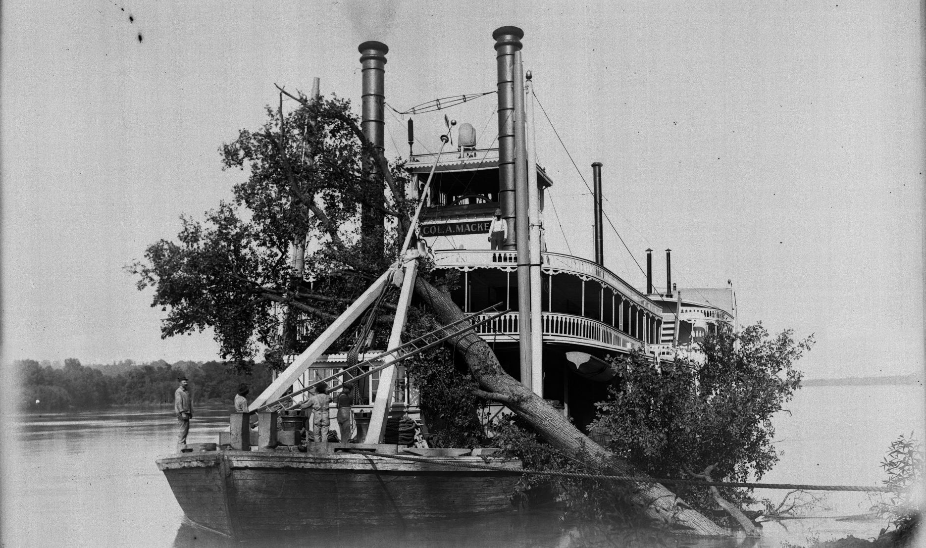 QCT-Glass-Negative-Collection-037